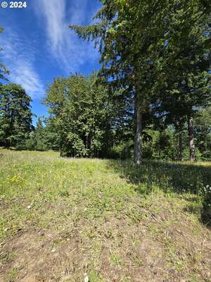  Olivia Ln #X, Kalama, WA 98625