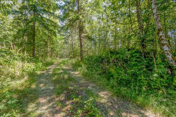  2500 Rd, Toutle, WA 98649