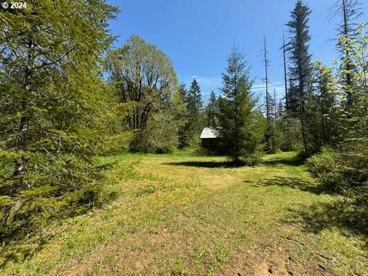 15209 NE Lucia Falls Rd, Battle Ground, WA 98604