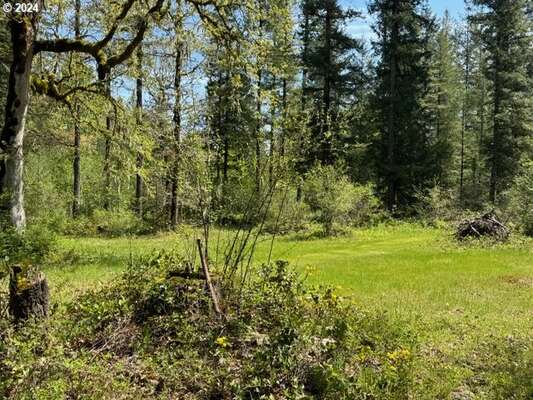 15209 NE Lucia Falls Rd, Battle Ground, WA 98604