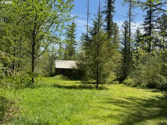 15209 NE Lucia Falls Rd, Battle Ground, WA 98604