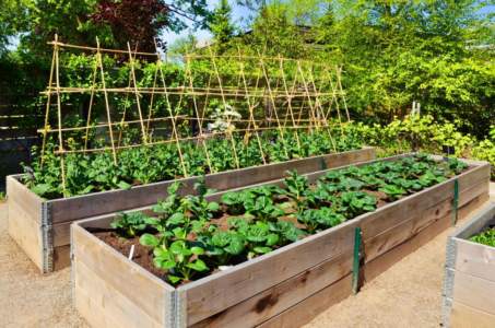 Raised Beds, Clark County WA real estate agent