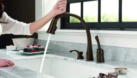 Touchless Faucet, Clark County WA real estate agent